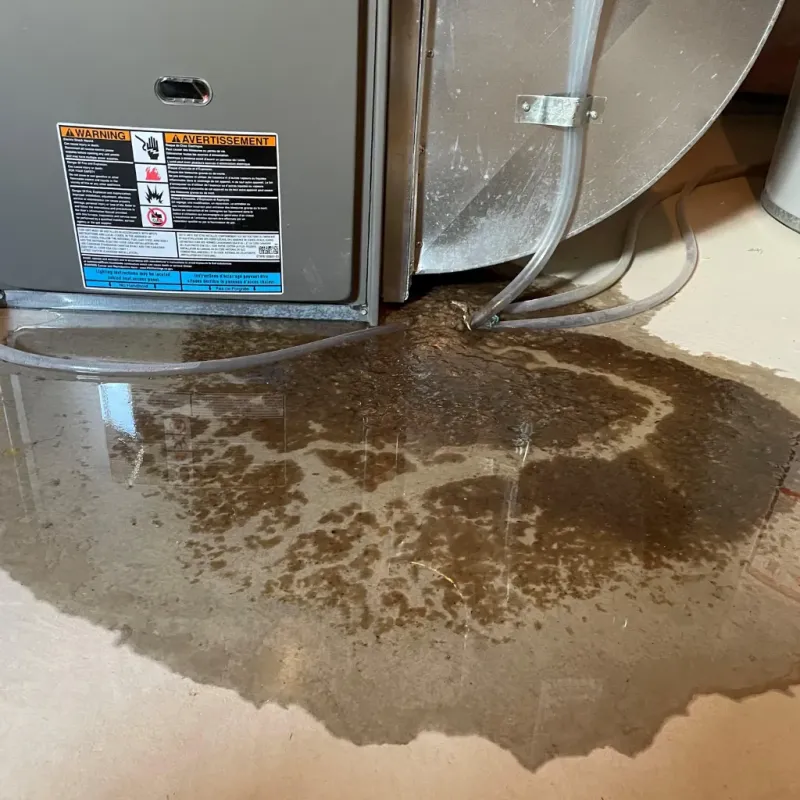 Appliance Leak Cleanup in Summerlin South, NV