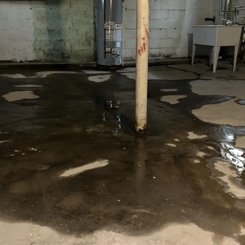Emergency Water Extraction And Removal in Summerlin South, NV